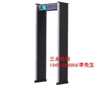廣州安檢門/安檢機(jī)/安檢門價(jià)格圖片