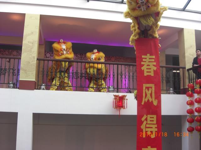 供應(yīng)嶺南印象園活動(dòng)布置