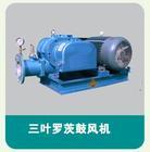 供應(yīng)高壓羅茨鼓風(fēng)機(jī)山東
