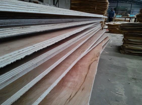 供應刀模膠合板18.0mm樺木面楊木芯