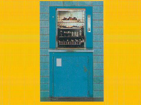 供應(yīng)諸暨餐梯