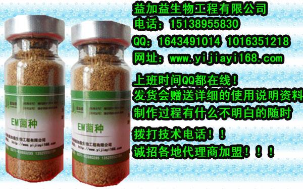 em原露em菌粉em菌片em菌种科学定义图片