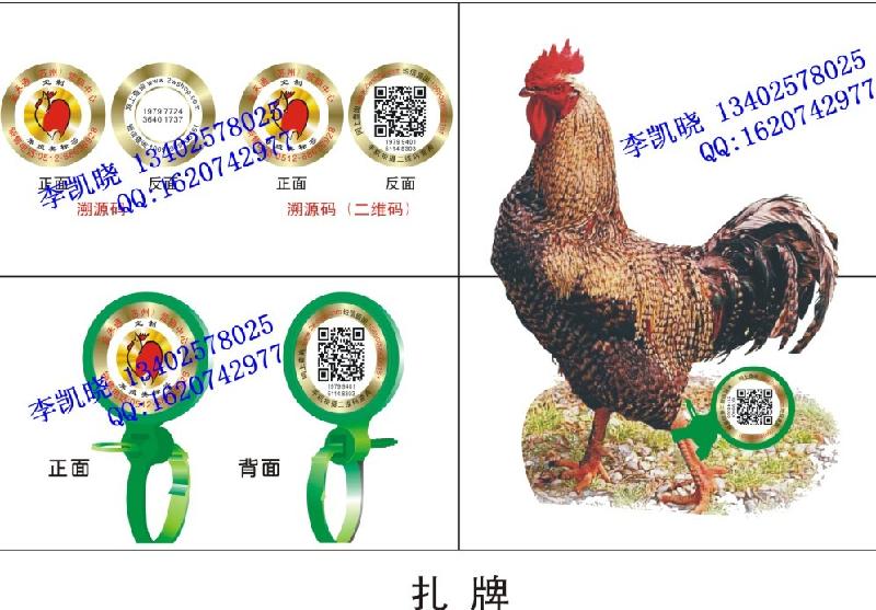 农产品家禽质量溯源鸡脚环定做供应农产品家禽质量溯源鸡脚环定做