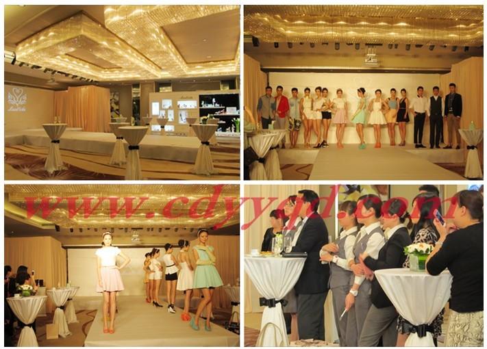 會(huì)議會(huì)務(wù)布置圖片/會(huì)議會(huì)務(wù)布置樣板圖 (3)