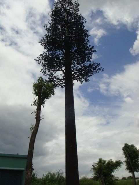 供應(yīng)四川通信桿廠家  四川通信塔廠家