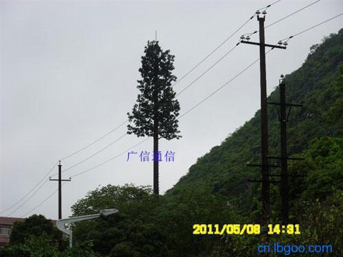 供應(yīng)四川通信塔美化樹仿真樹廠家