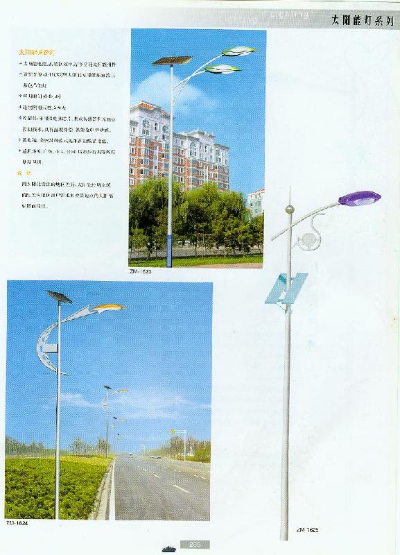 東營(yíng)太陽(yáng)能道路燈廠家圖片