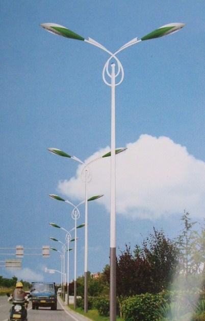 供應(yīng)肇東道路燈廠家