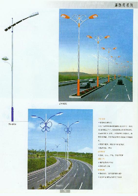 沈陽雙臂燈廠家圖片