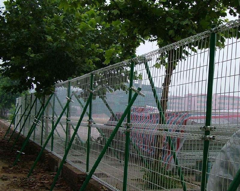 供應(yīng)散養(yǎng)雞用什么圍網(wǎng)養(yǎng)山雞用的圍網(wǎng)