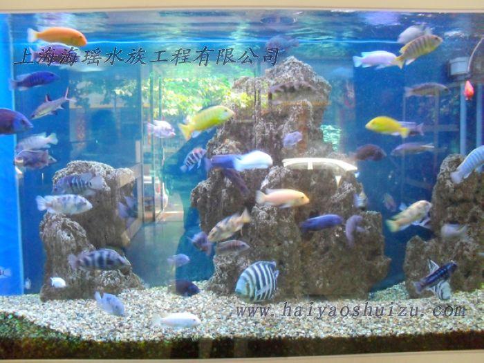 供應(yīng)上海亞克力水族魚缸價(jià)格