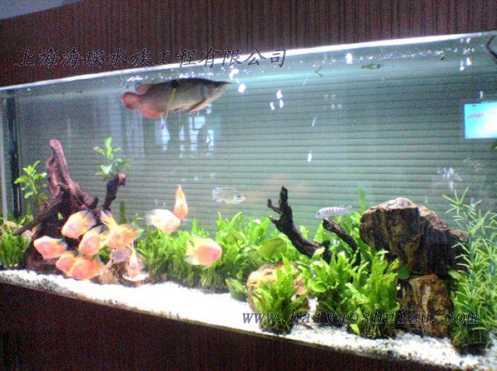 供應(yīng)大型魚缸｜大型魚缸訂做｜大型亞克力魚缸