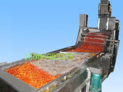 蔬菜肉類清洗機圖片