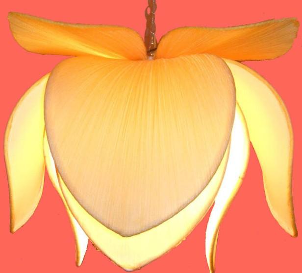 供應(yīng)廣東中山源合布藝燈市場*報(bào)價(jià)