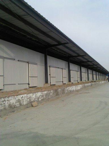 供應蔬菜保鮮冷藏