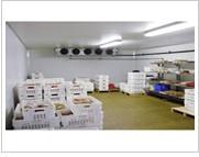 供應(yīng)食品冷鏈物流