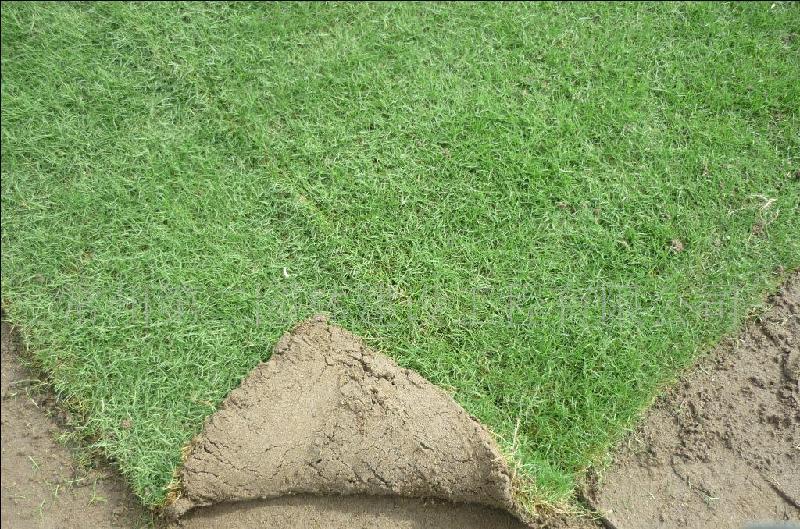 供應?？谙耐牟菖l(fā)商