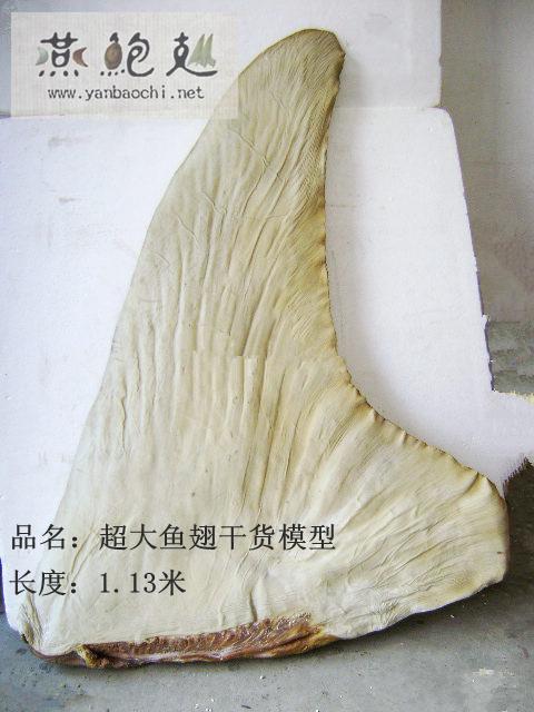 特大魚翅干貨模型圖片