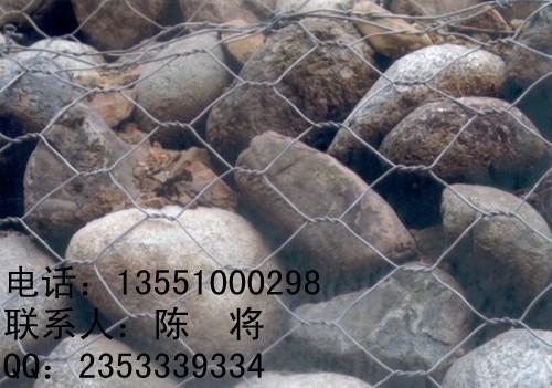 供應(yīng)邊坡防護(hù)網(wǎng)-四川石籠網(wǎng),四川護(hù)欄網(wǎng),四川邊坡防護(hù)網(wǎng)