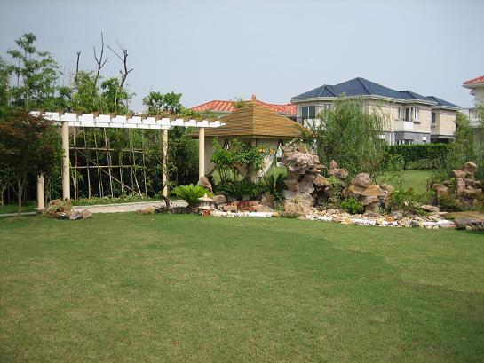 供應(yīng)上海園林綠化管理公司、上海綠化植物租賃與養(yǎng)護(hù)