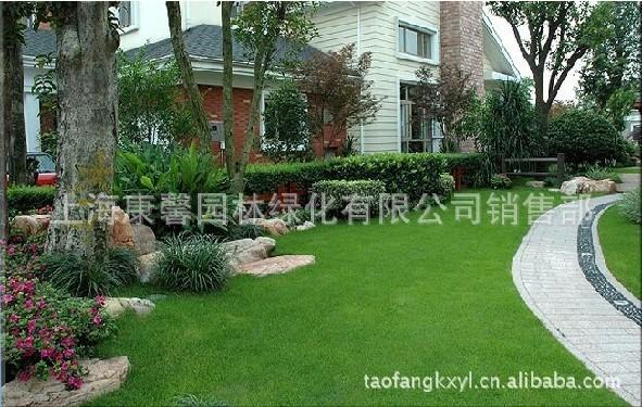 供應(yīng)南匯工業(yè)園綠化養(yǎng)護(hù)