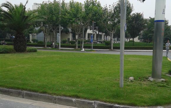 綠化養(yǎng)護(hù)公司