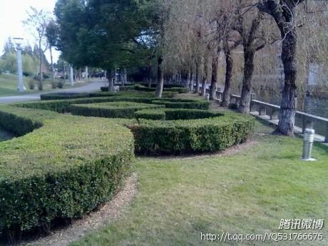 上海綠化養(yǎng)護(hù)工程上海廠區(qū)綠化養(yǎng)護(hù)