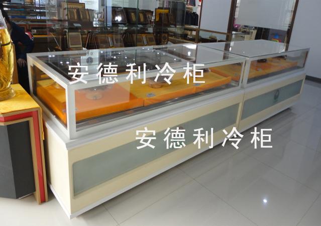 广州市药品保鲜展示柜厂家