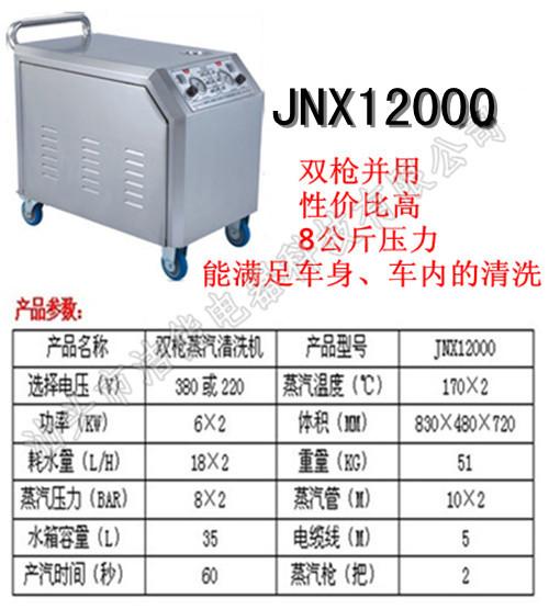 供应洁能双枪蒸汽汽车清洁设备图片