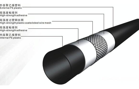 牡丹江PE钢丝网骨架管图片