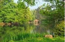 供應(yīng)江蘇水杉-江蘇水杉價(jià)格-江蘇水杉銷售