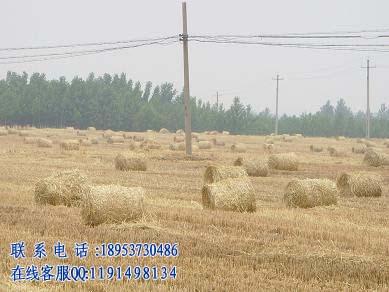 济宁市麦草自拾打捆机厂家厂家