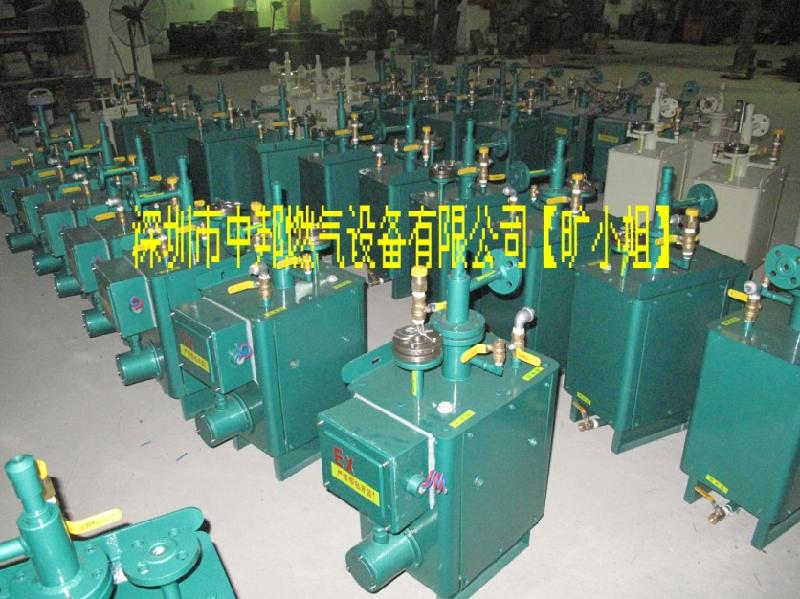 供應(yīng)深圳中邦牌氣化爐廠家直銷