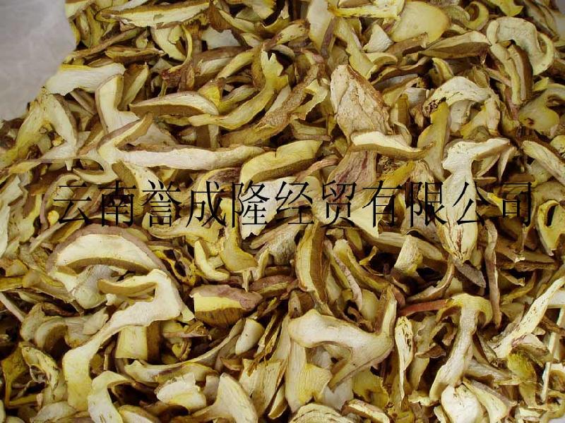 牛肝菌干片图片