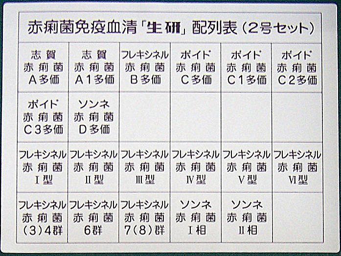 志賀氏菌圖片/志賀氏菌樣板圖 (4)
