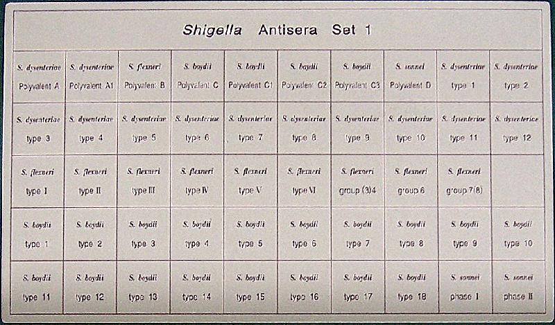 志賀氏菌免疫血清ShigellaAntisera圖片