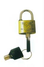 供應(yīng)梅花銅掛鎖 小區(qū)物業(yè)掛鎖 防水銅掛鎖 戶外銅掛鎖 掛鎖廠家*銷售 批發(fā)和零售一體