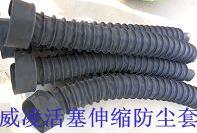 防塵罩圖片/防塵罩樣板圖 (4)