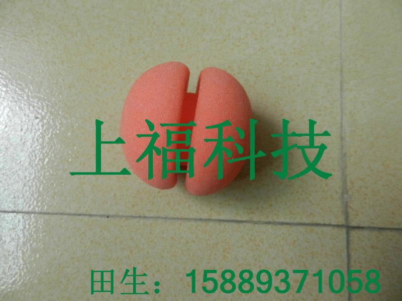 供應臺灣卷發(fā)海綿【廣東海綿卷發(fā)廠家】海綿卷發(fā)出口批發(fā)