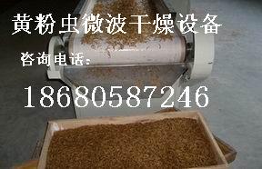 供應(yīng)紅薯微波干燥/紅薯微波加熱干燥機/廣東廣州紅薯微波干燥機批發(fā)價格
