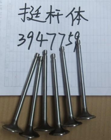 供應(yīng)挺桿體3947759