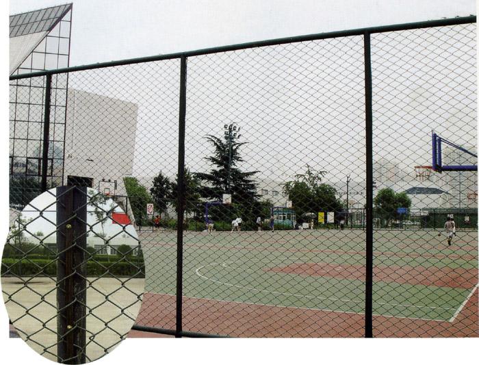 供應永州體育場圍網