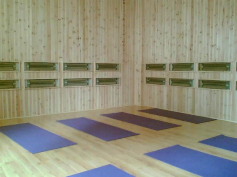 供應(yīng)金仕堡高溫瑜伽設(shè)備