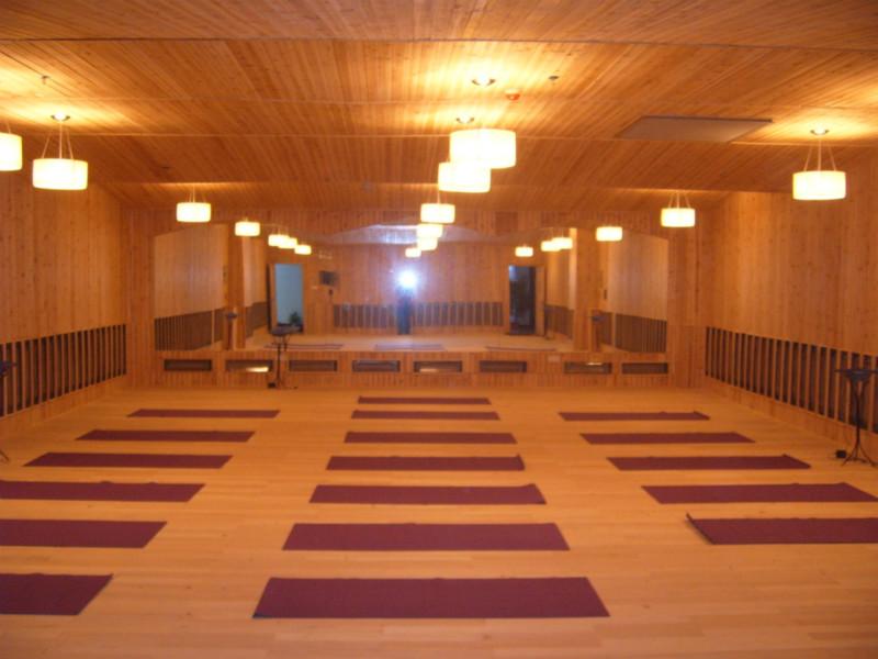 供應(yīng)金仕堡高溫瑜伽設(shè)備