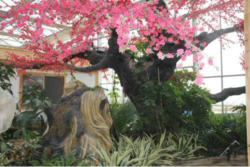 供應(yīng)江蘇生態(tài)園假山假樹作品