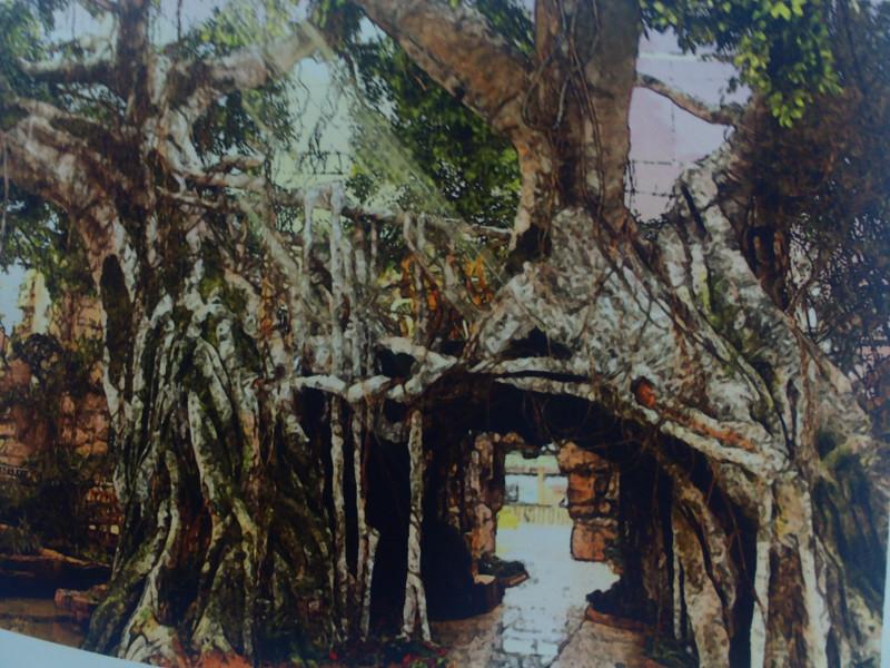 供應(yīng)假樹價格、假樹樣式/仿真假樹價格