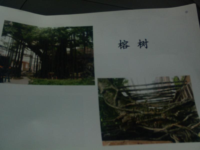 供應(yīng)菏澤生態(tài)園的策劃效果圖