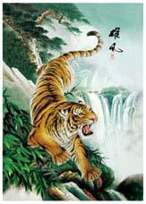 立體畫圖片/立體畫樣板圖 (3)