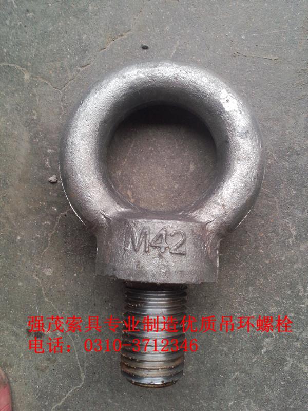 M42吊環(huán)-強茂索具圖片