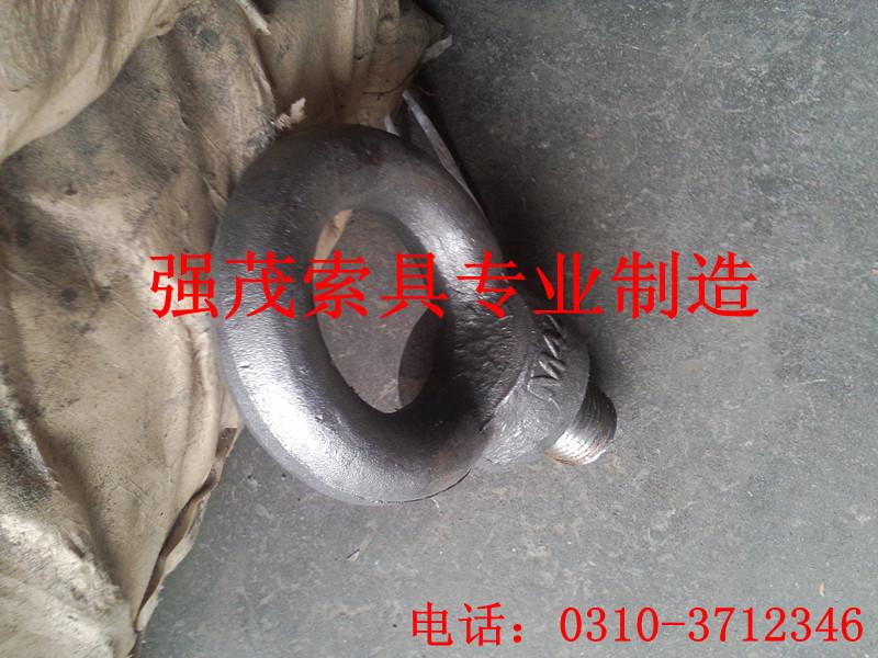 電機(jī)專用吊環(huán)圖片
